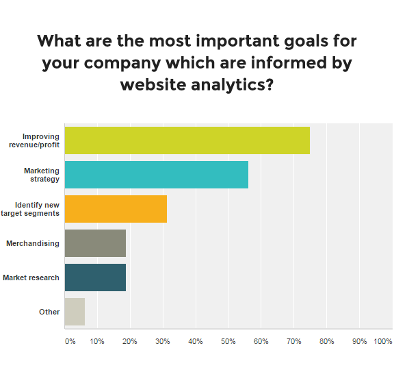 What are the most important goals for your company which are informed by website analytics?